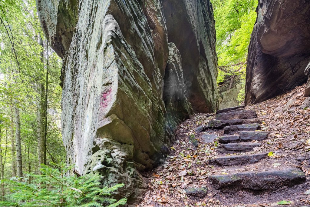 Deutschlands zweitschönster Wanderweg, die Grüne Hölle,
startet direkt am Waldhotel Sonnenberg