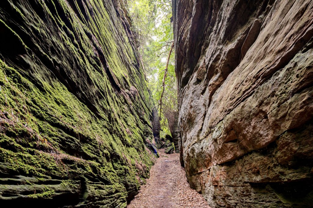 Wanderwege direkt vor unserer Tür